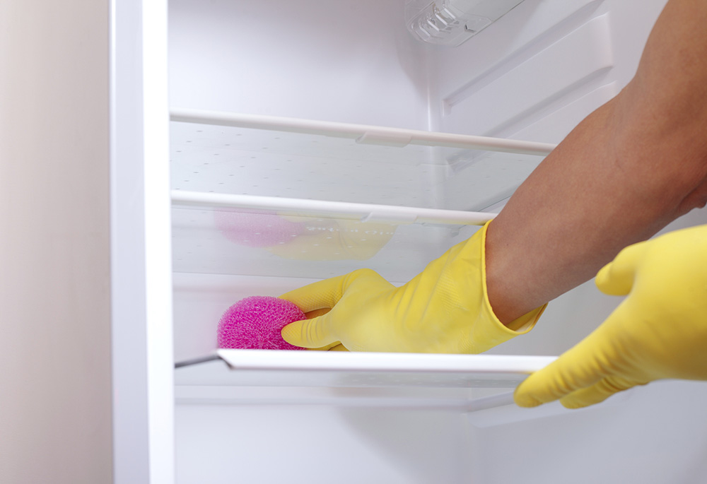 Empty the fridge - Houd je ijskast proper